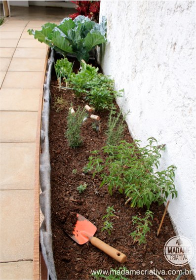 Aplicação Correta: Dose Certa, Resultado Garantido - inspiração 1