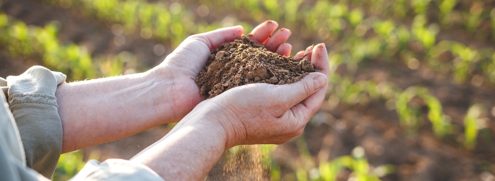 Aplicação Correta: Dose Certa, Resultado Garantido - inspiração 2