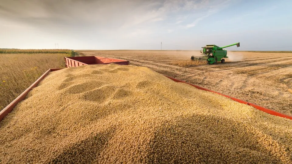 Zinco e Outros Nutrientes: Uma Parceria de Sucesso - inspiração 1