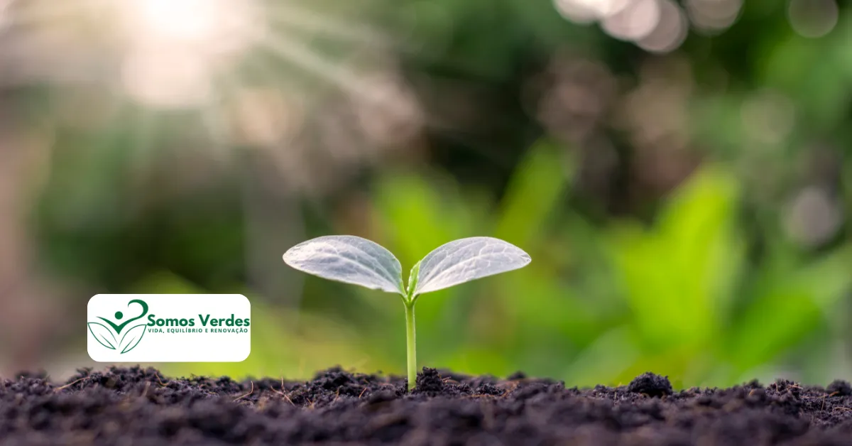 Identificando a Falta de Zinco: Sinais Claros na Folha do Milho - inspiração 2