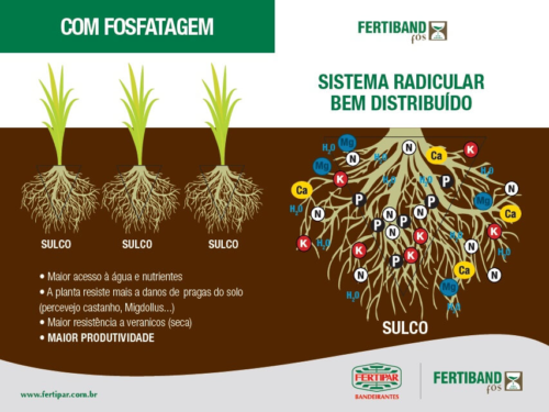 Como Aplicar o Zinco: Métodos que Fazem a Diferença - inspiração 1