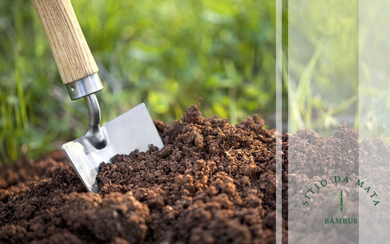 Atenção à Adubação de Plantio e Manutenção - inspiração 2