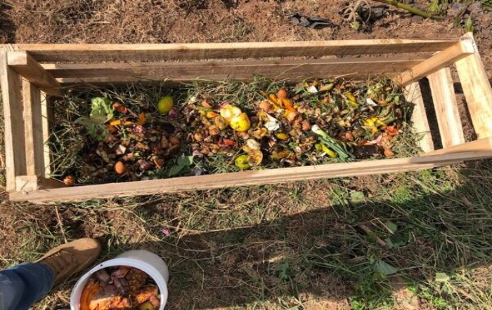 A Mágica do Húmus de Minhoca: Um Poderoso Aliado - inspiração 2