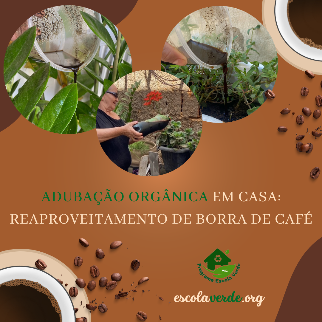 Biofertilizantes Caseiros: Nutrição Gratuita para Seu Pomar - inspiração 1