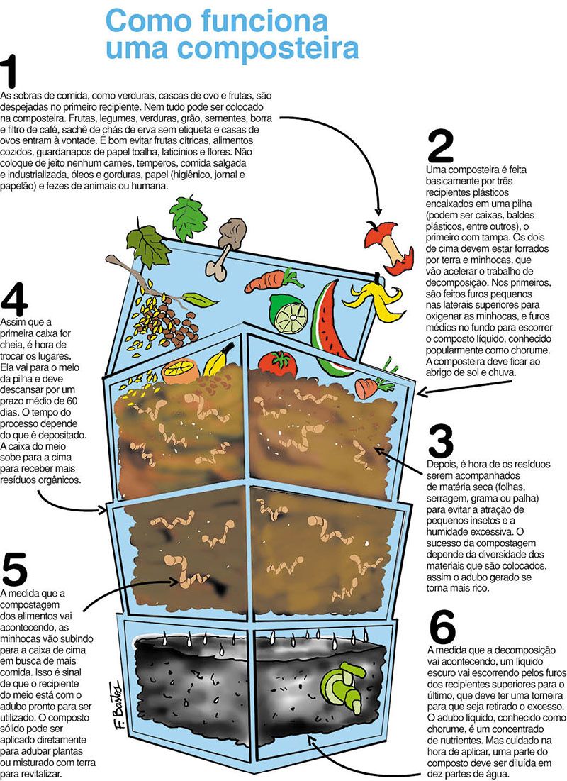 Biofertilizantes Caseiros: Nutrição Gratuita para Seu Pomar - inspiração 2