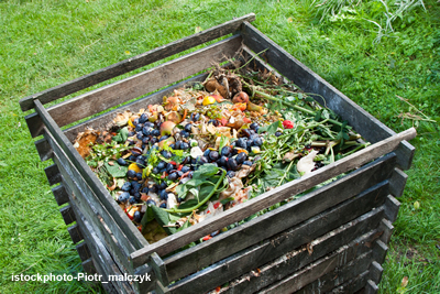 Quando e Como Adubar: Frequência e Momento Ideais - inspiração 2