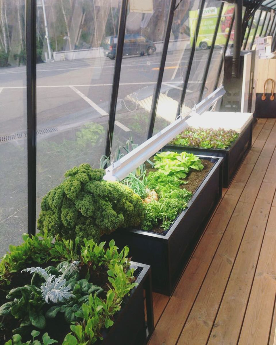 Manutenção e Ajustes: Acompanhamento Constante Para o Sucesso - inspiração 2