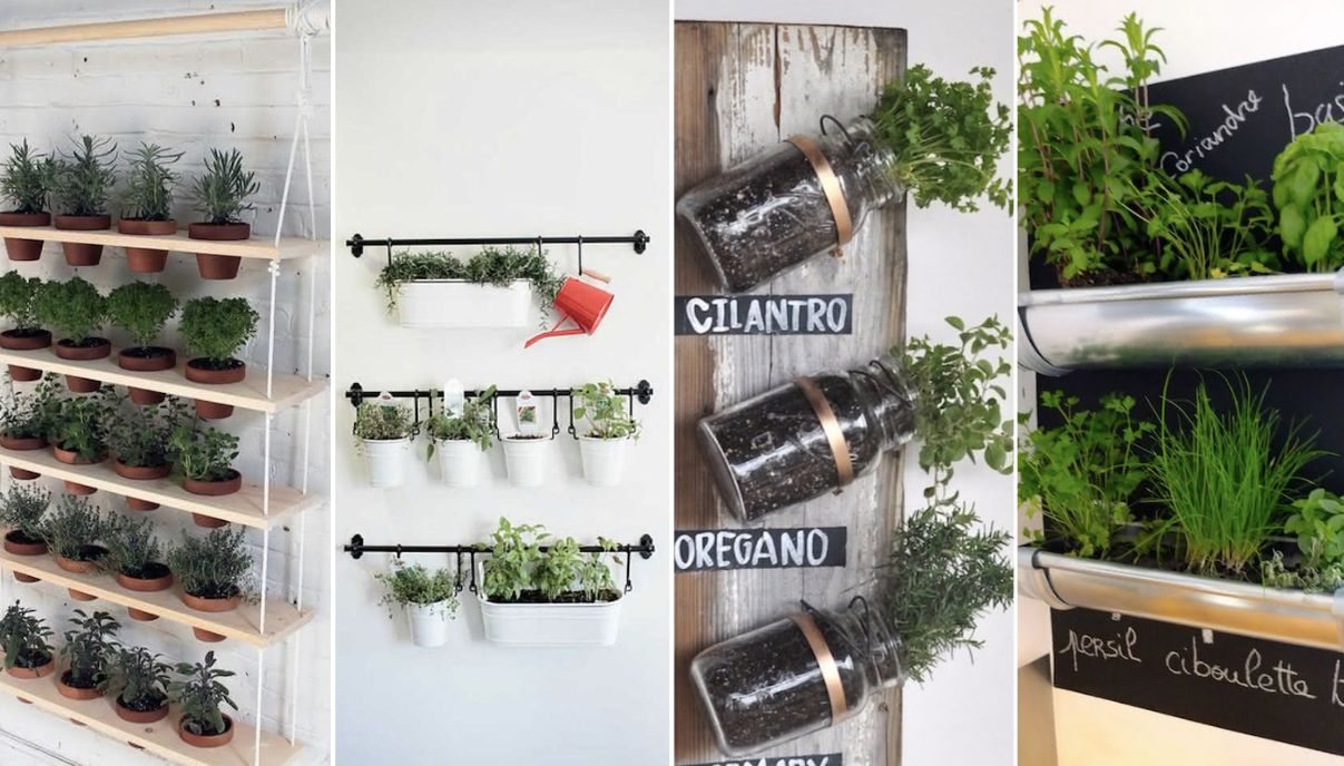 Adubação de Cobertura: O Reforço Que Suas Plantas Precisam - inspiração 1