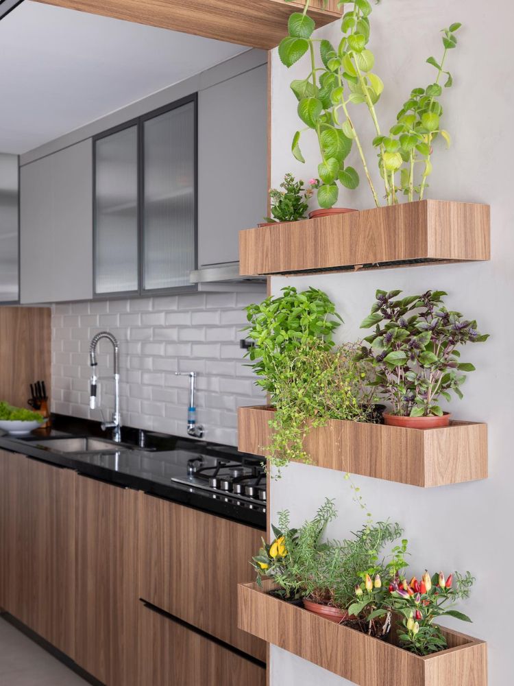 Adubos Naturais Criativos: Reutilize o Que Você Já Tem em Casa - inspiração 1