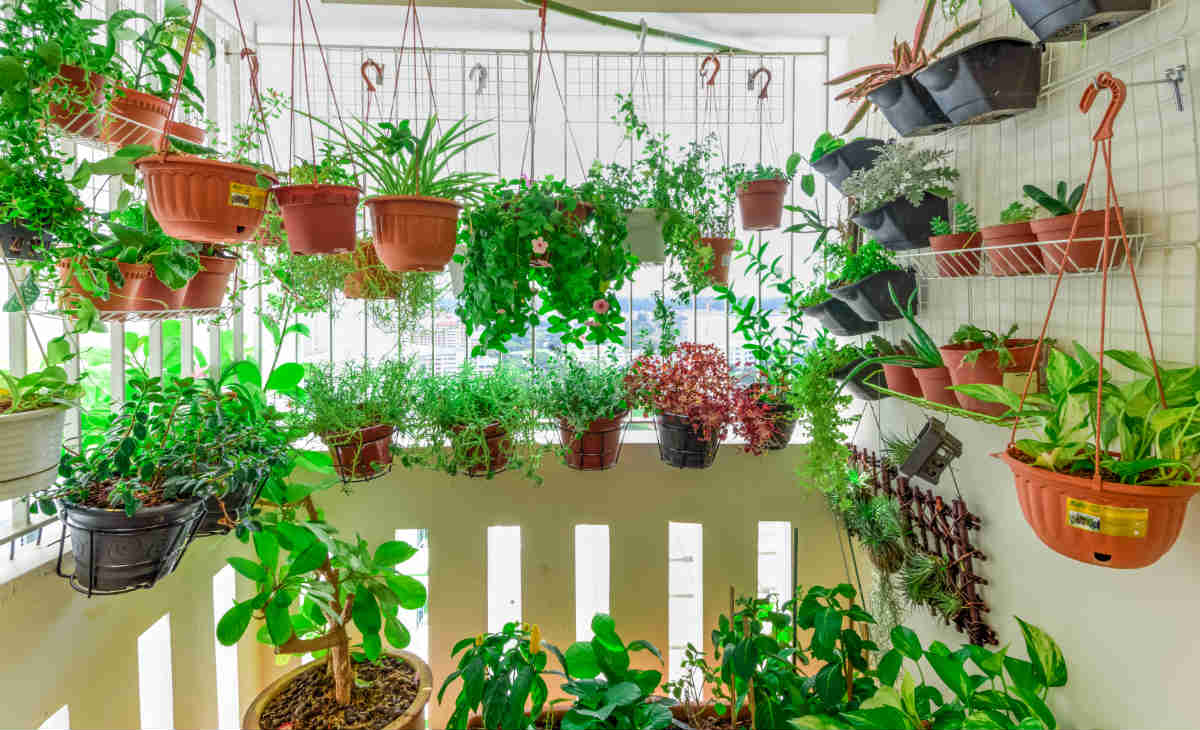 Adubos Naturais Criativos: Reutilize o Que Você Já Tem em Casa - inspiração 2