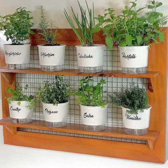 Observando Sua Horta: Sinais de que a Adubação Precisa de Ajuste - inspiração 2