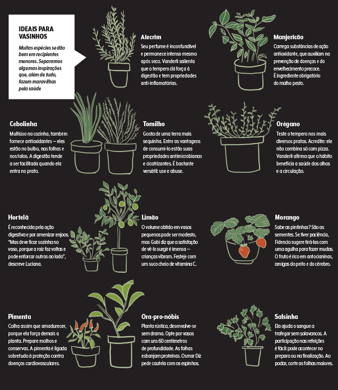 Tipos de Adubos: Orgânicos vs. Minerais para Sua Horta - inspiração 1