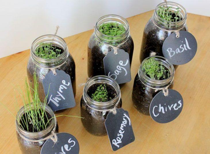 Tipos de Adubos: Orgânicos vs. Minerais para Sua Horta - inspiração 2