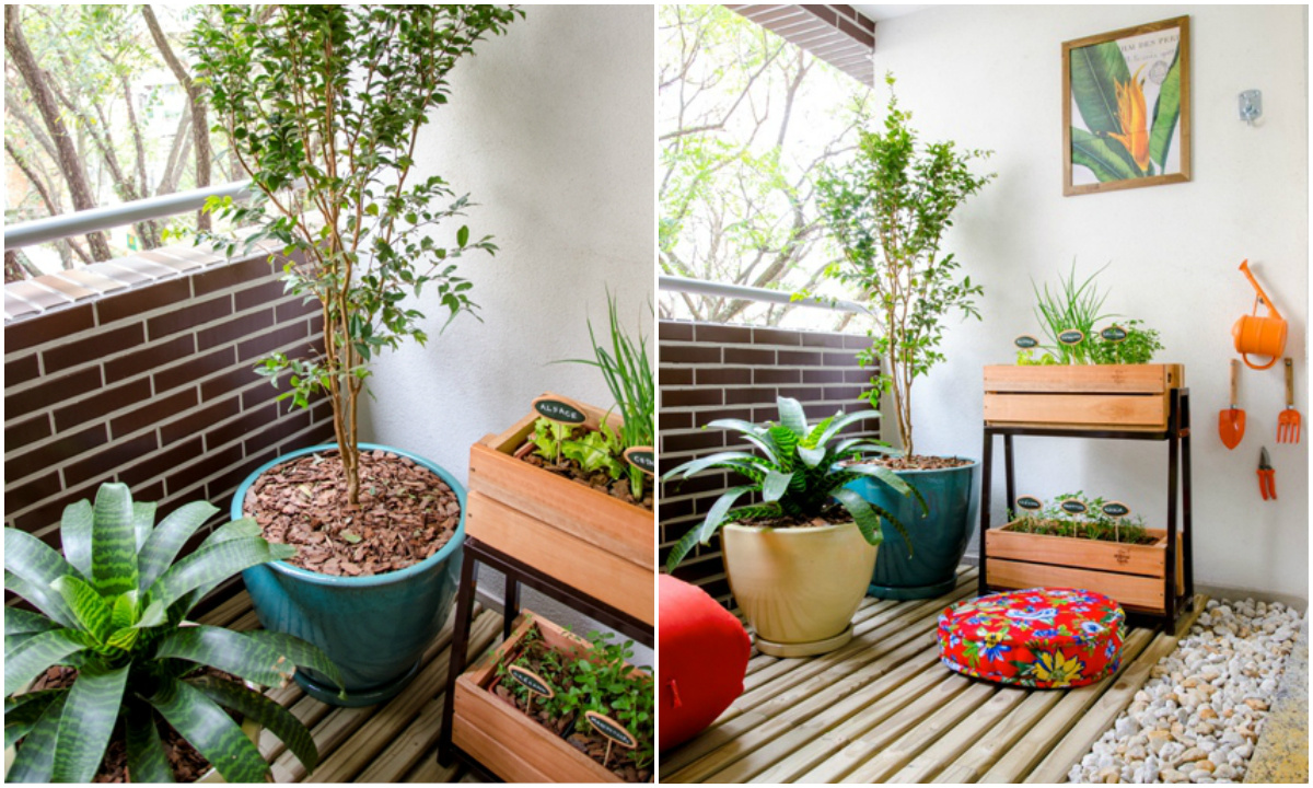 A Adubação Certa para Ervas Frescas e Pimentas Picantes - inspiração 2