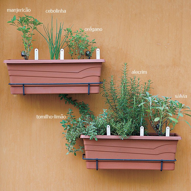 Frequência Ideal: Não Exagere na Dose para Não Prejudicar - inspiração 2