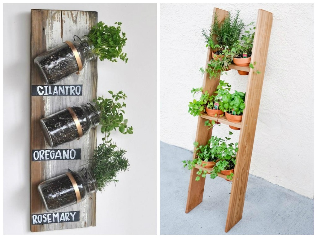 Adubos Caseiros: Aproveitando o que Você Já Tem em Casa - inspiração 1