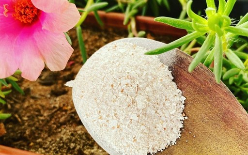 Preparando Suas Cascas de Ovo: Limpeza e Trituração Essenciais - inspiração 1