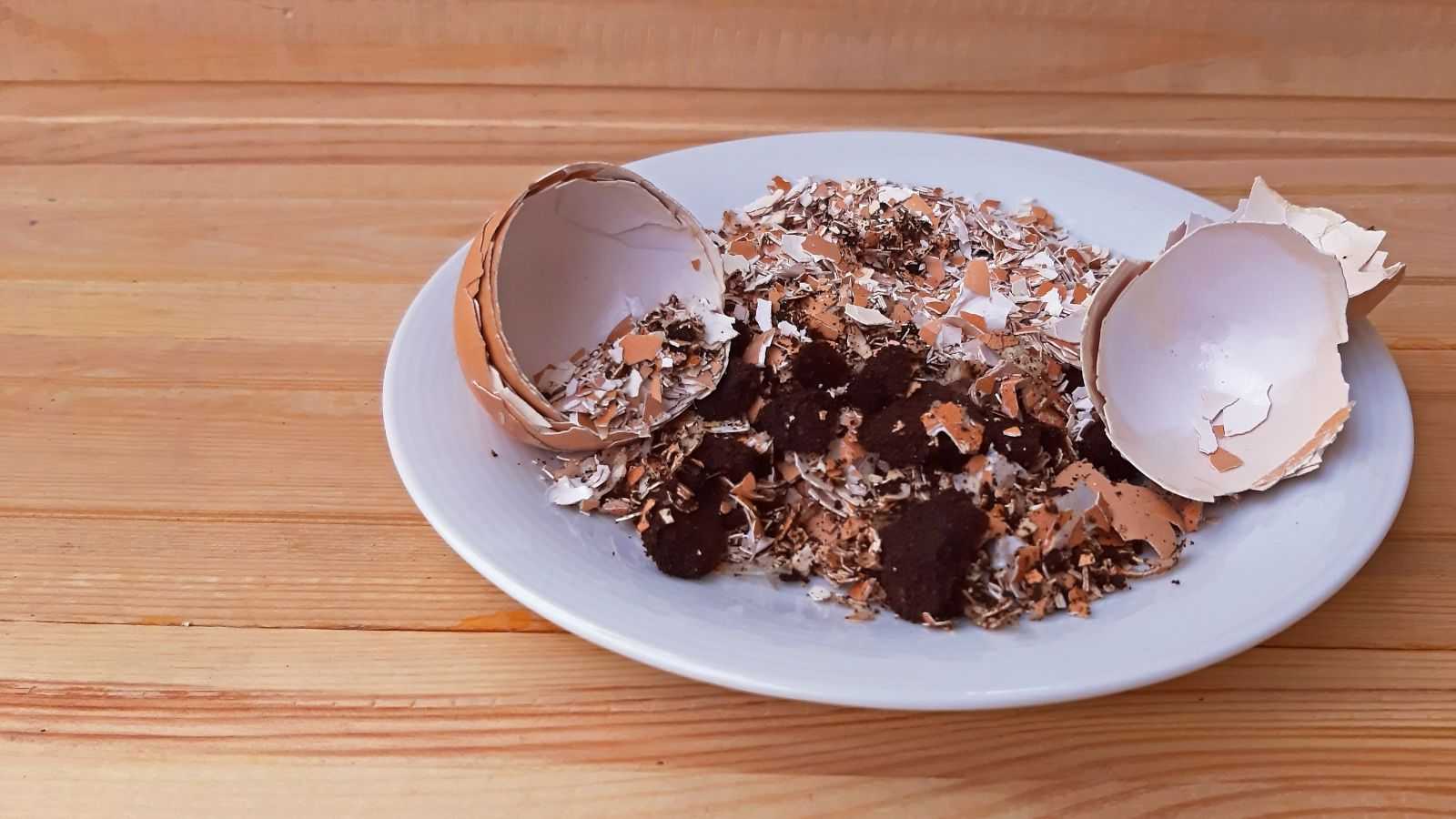 Frequência Ideal: Quando Reaplicar o Adubo de Casca de Ovo - inspiração 1