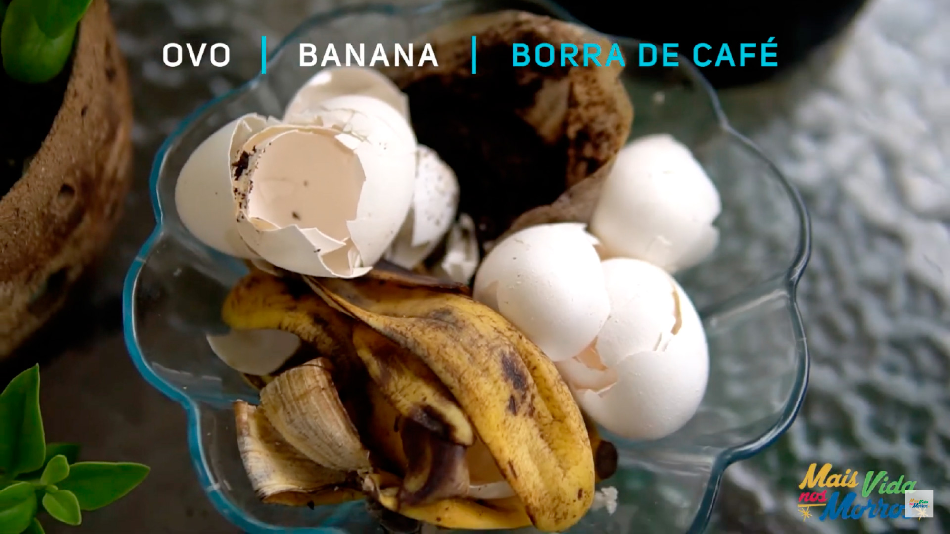 Criando um Chá de Casca de Ovo: Nutrição Líquida Rápida e Eficaz - inspiração 2