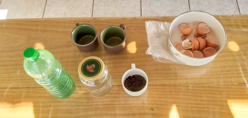 Cascas de Ovo Contra Pragas: Um Escudo Natural para Seu Jardim - inspiração 2