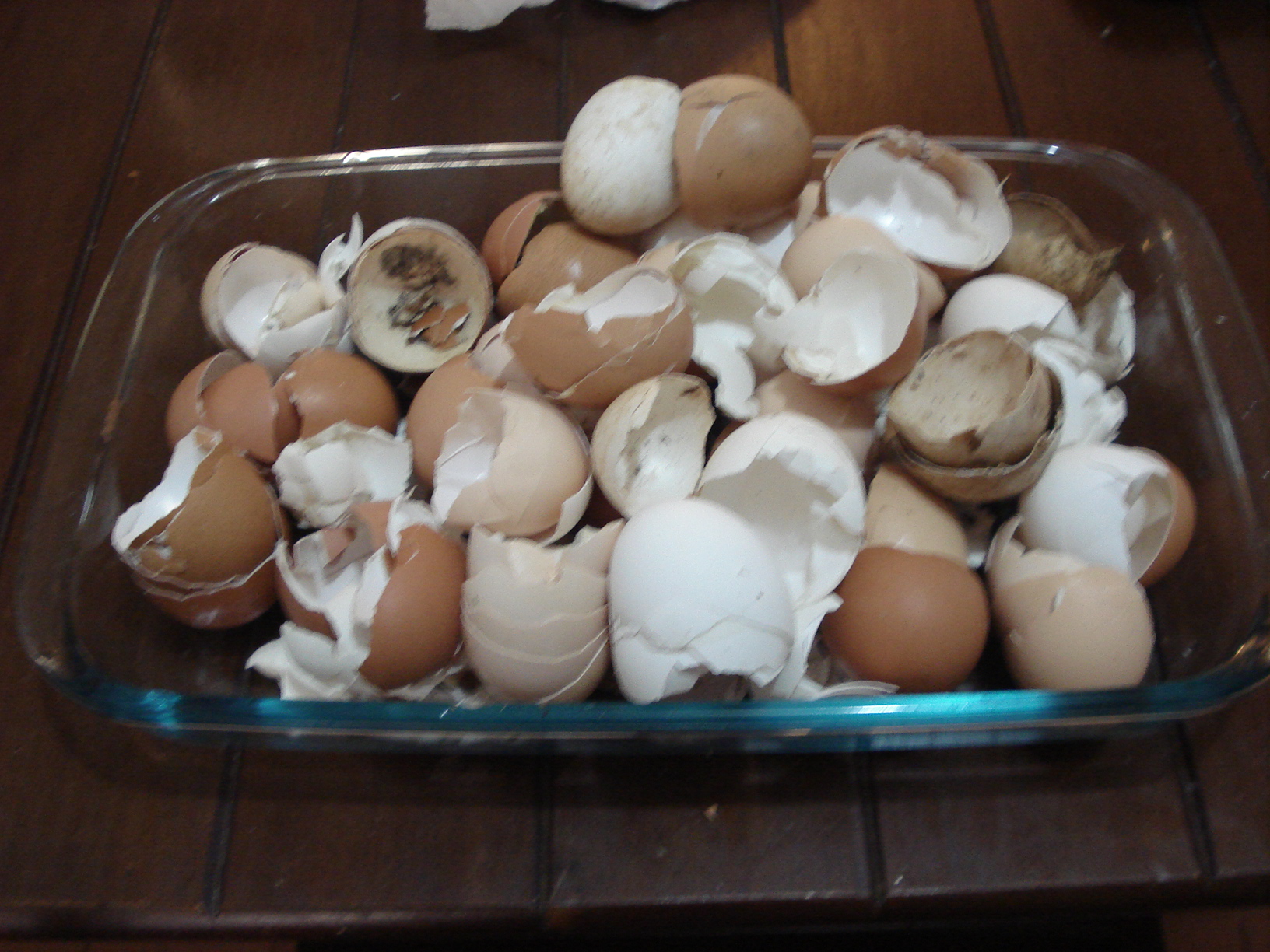 Evitando Erros Comuns: O Que Não Fazer com Cascas de Ovo - inspiração 1