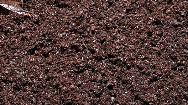 Estimula o Crescimento Acelerado e Saudável - inspiração 1