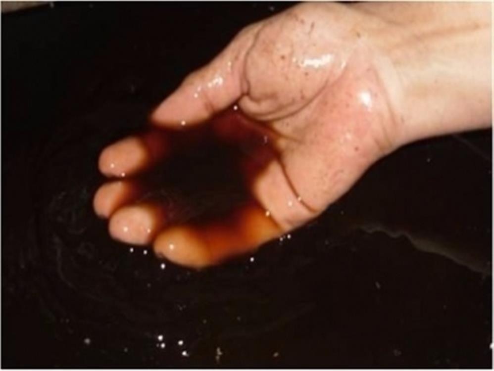 Ideal para Flores, Frutas, Hortaliças e Plantas Ornamentais - inspiração 2