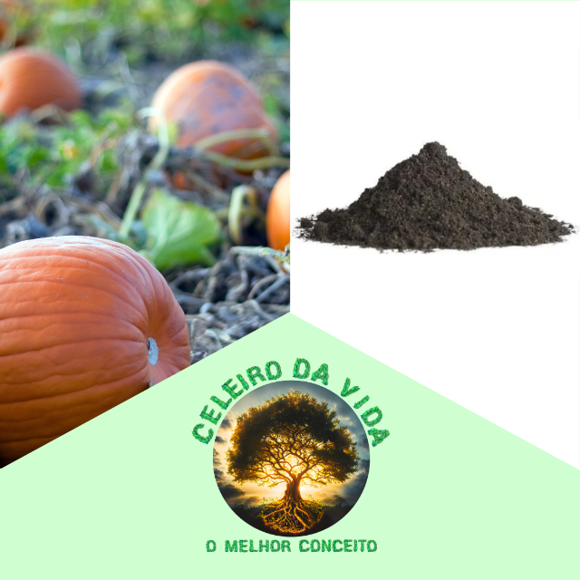 Entendendo o Ciclo da Abóbora e suas Demandas Nutricionais - inspiração 1