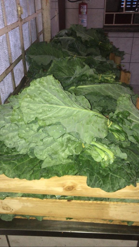 Composto Caseiro: Transformando Restos de Cozinha em Ouro para Sua Couve - inspiração 2