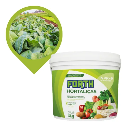 Torta de Mamona: Um Clássico Eficaz para Nutrição Equilibrada - inspiração 2