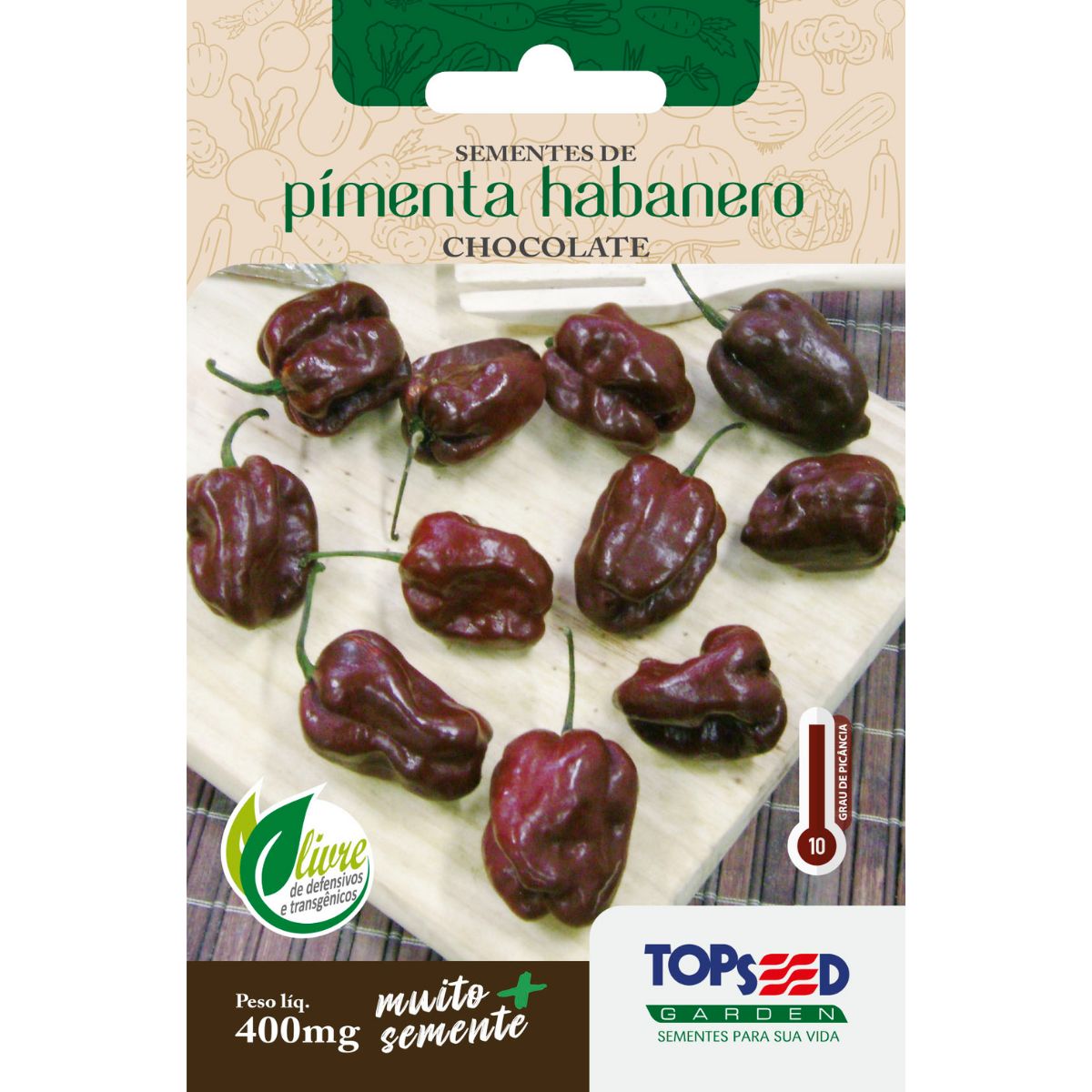 Cuidados Essenciais Após a Adubação: Rega e Sol - inspiração 2