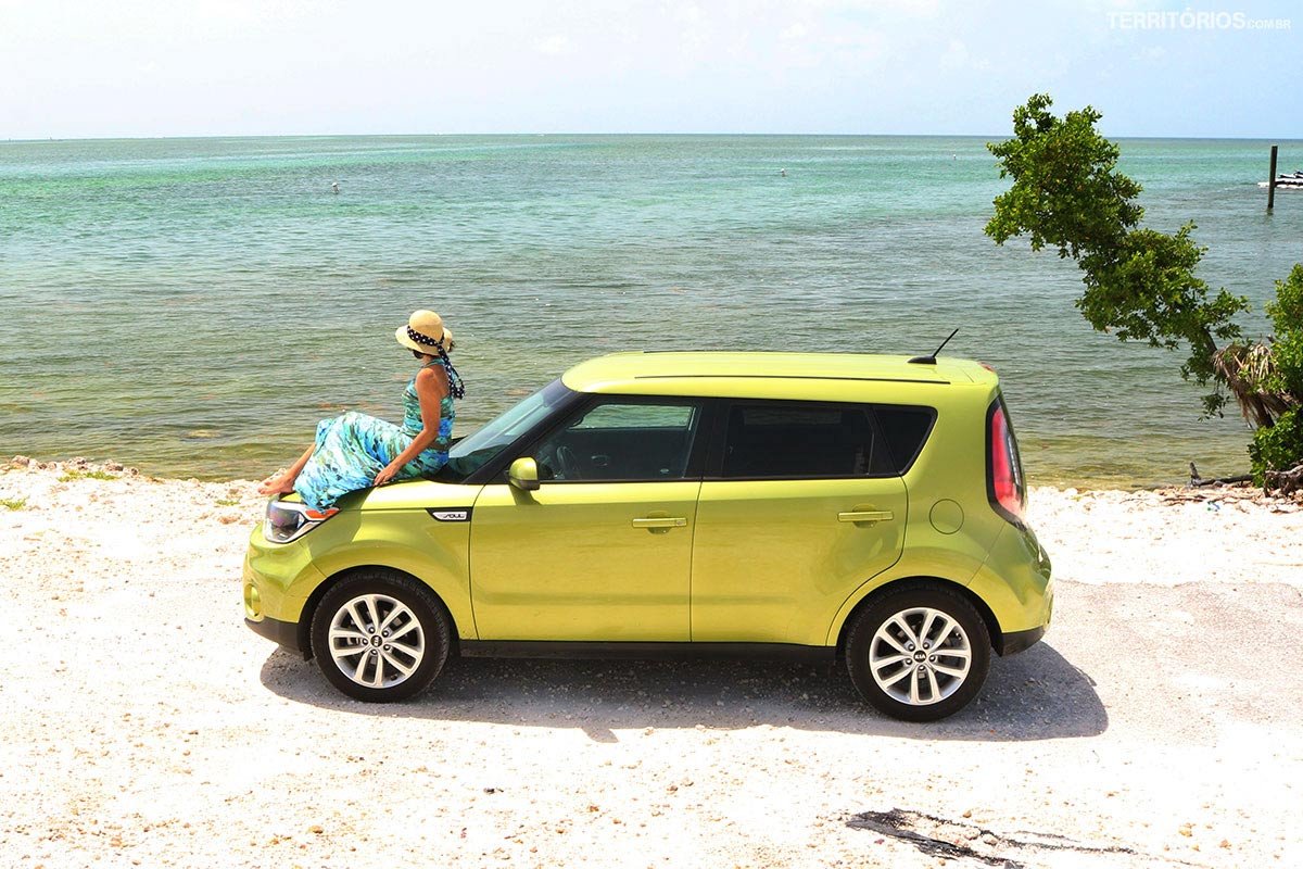 O Que Observar ao Escolher seu 4x4 - inspiração 1