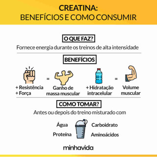 Proteção Óssea: Um Reforço para a Estrutura do Corpo - inspiração 2