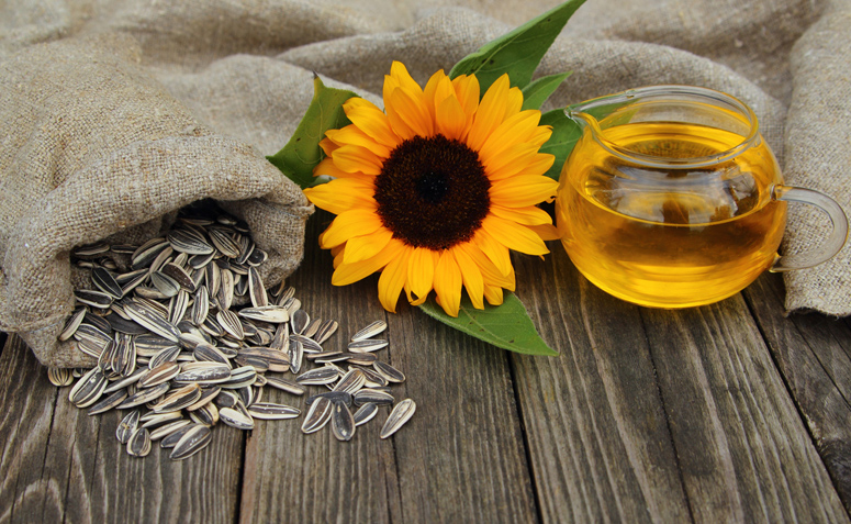 Combate ao Envelhecimento Precoce: Proteção Antioxidante contra Radicais Livres - inspiração 2