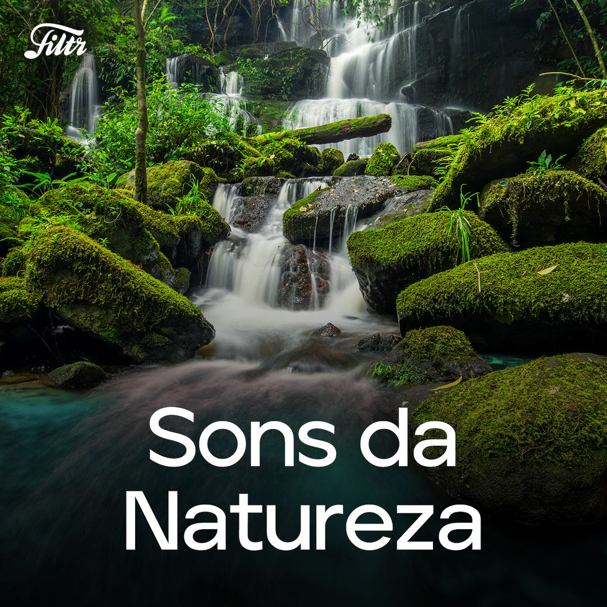 O Silêncio da Mente com Sons Naturais - inspiração 2