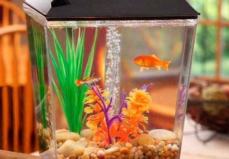 Estímulo à Criatividade e à Concentração - inspiração 1