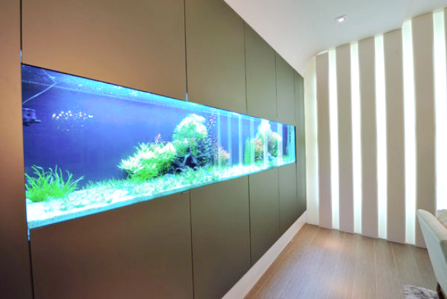 Apreciação da Biodiversidade e da Vida Aquática - inspiração 2