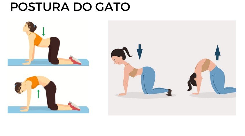 Circulação Sanguínea: Nutrição e recuperação muscular - inspiração 1