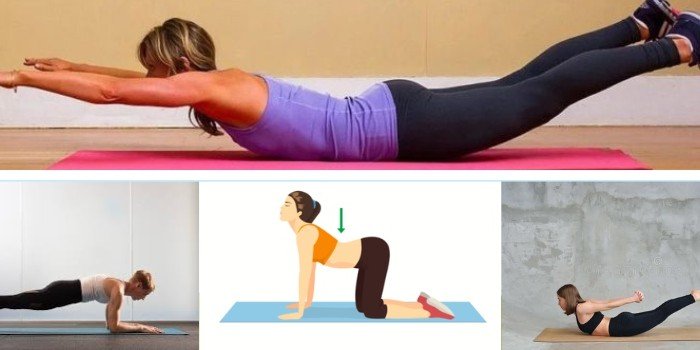 Circulação Sanguínea: Nutrição e recuperação muscular - inspiração 2