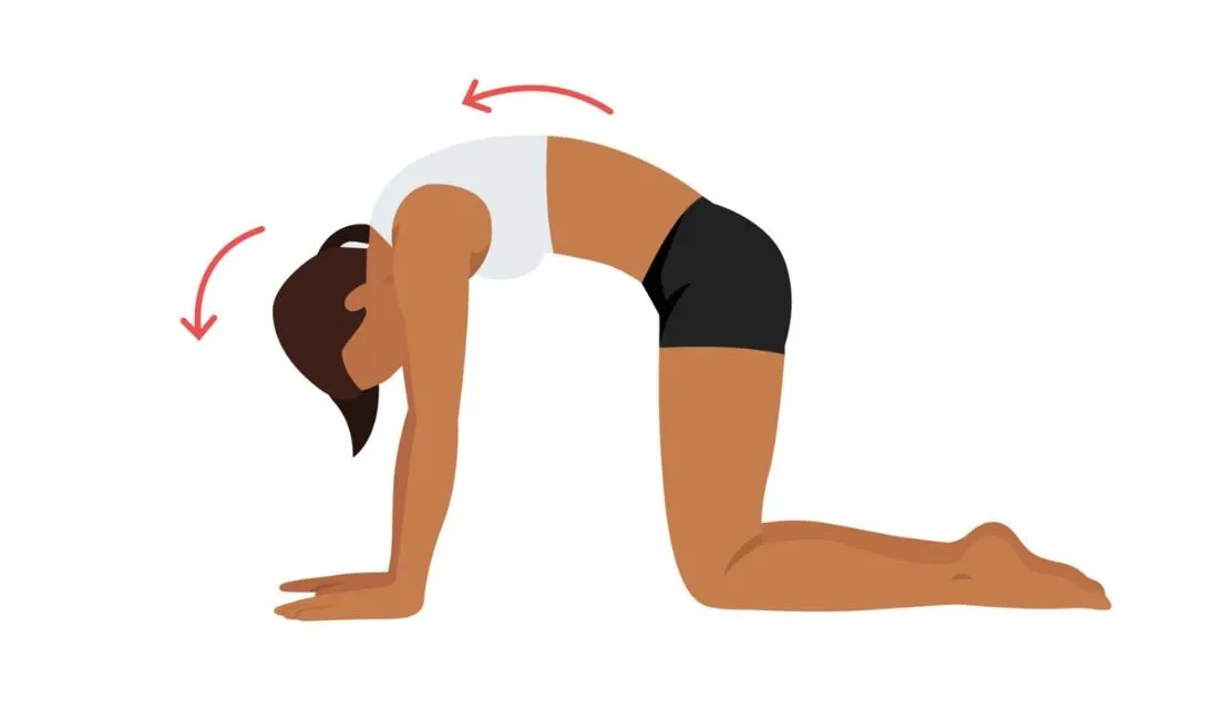 Prevenção de Lesões Futuras: Um escudo para sua lombar - inspiração 2