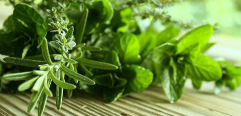 Aumento da Autoconfiança e Segurança Pessoal - inspiração 1