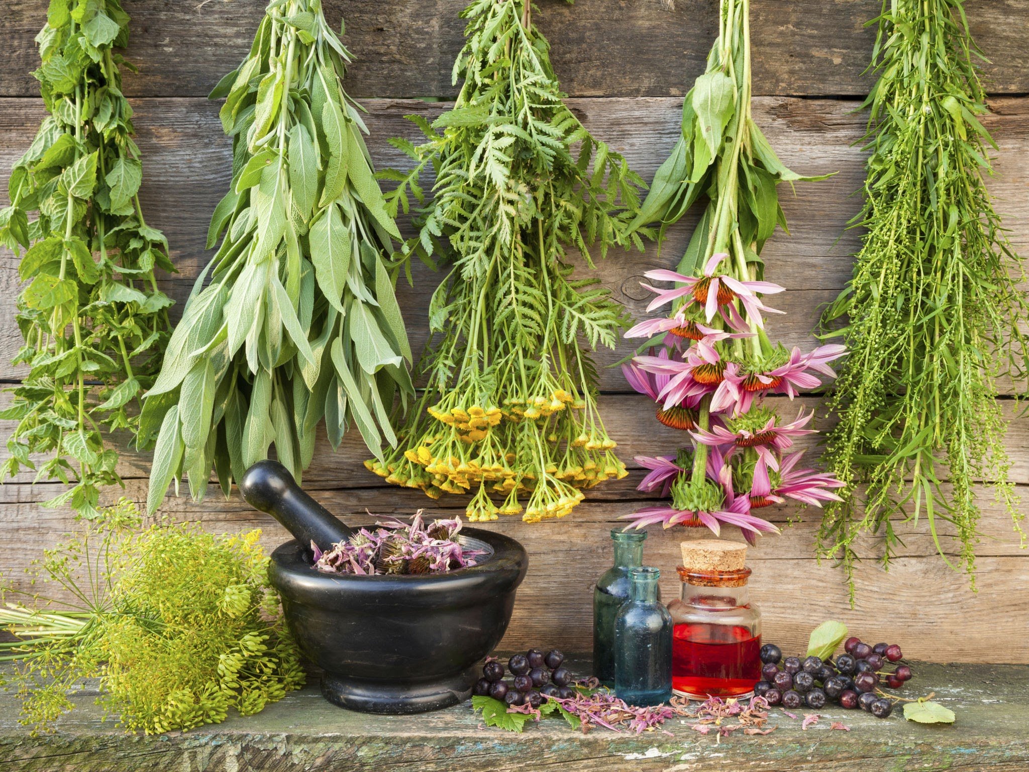 Amplificação da Sua Aura Protetora - inspiração 2