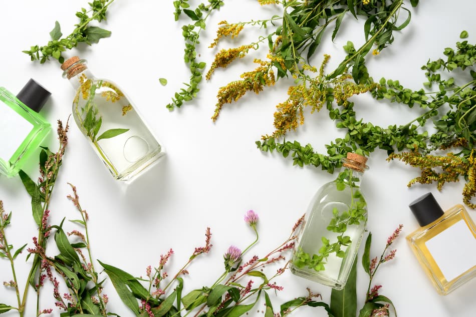 Atração de Boas Vibrações e Sorte - inspiração 2