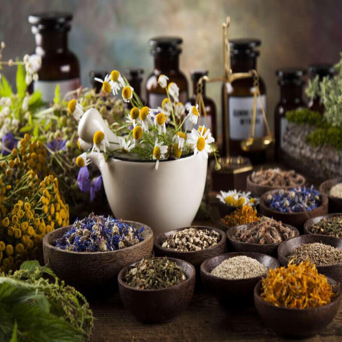 Conexão com a Natureza e o Sagrado - inspiração 2