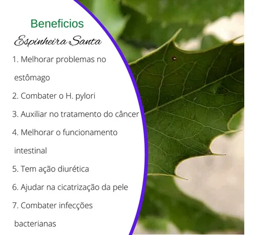 Combate à Indigestão: Seu Estômago Agradece o Chá - inspiração 2