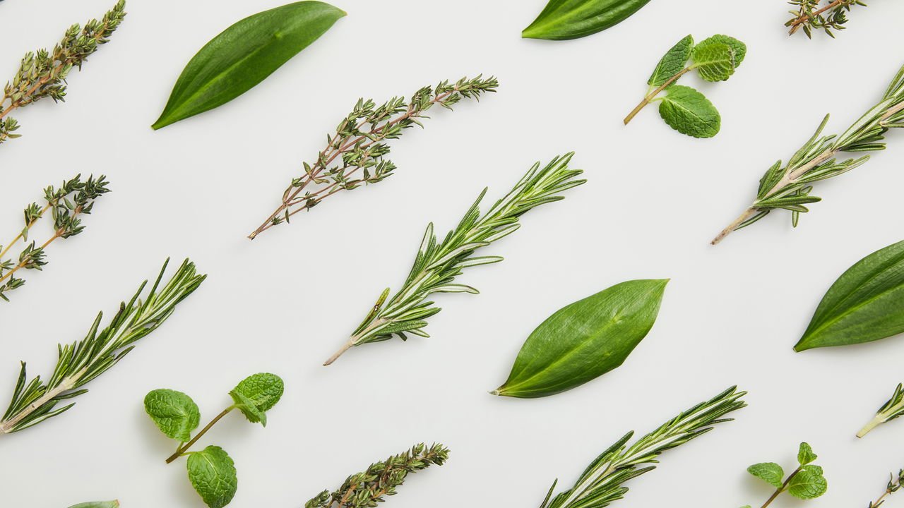 Benefícios Adicionais: Mais Saúde Para Você - inspiração 1