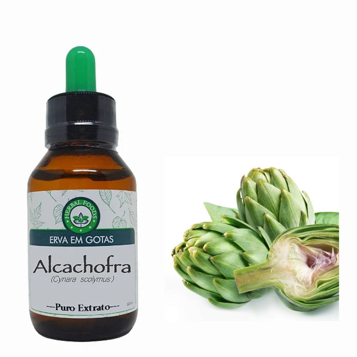 Recomendações e Precauções ao Consumir Alcachofra - inspiração 1