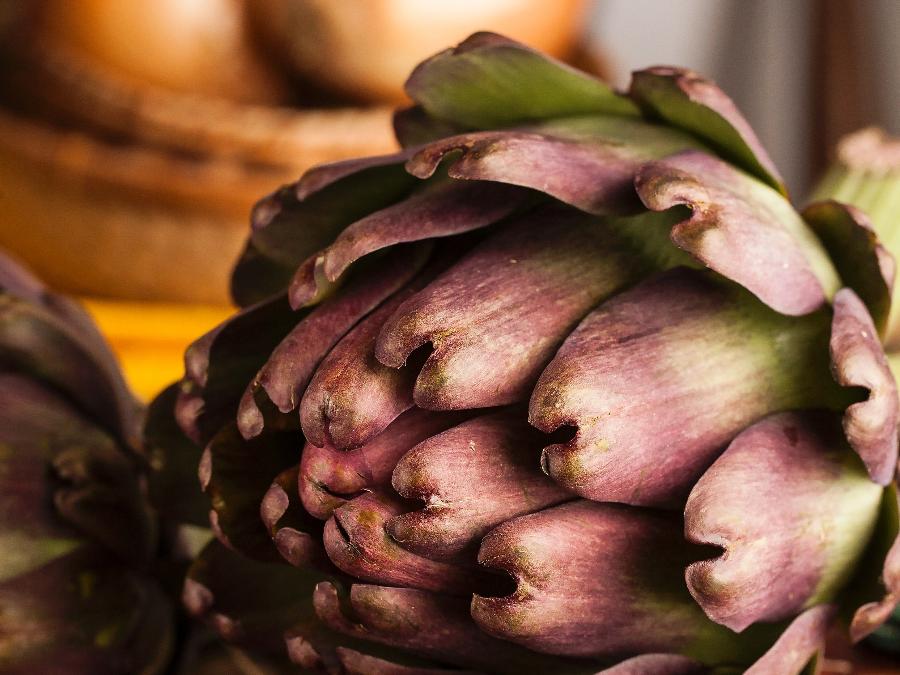 Ação Antioxidante: Combatendo o Estresse Oxidativo no Fígado - inspiração 2