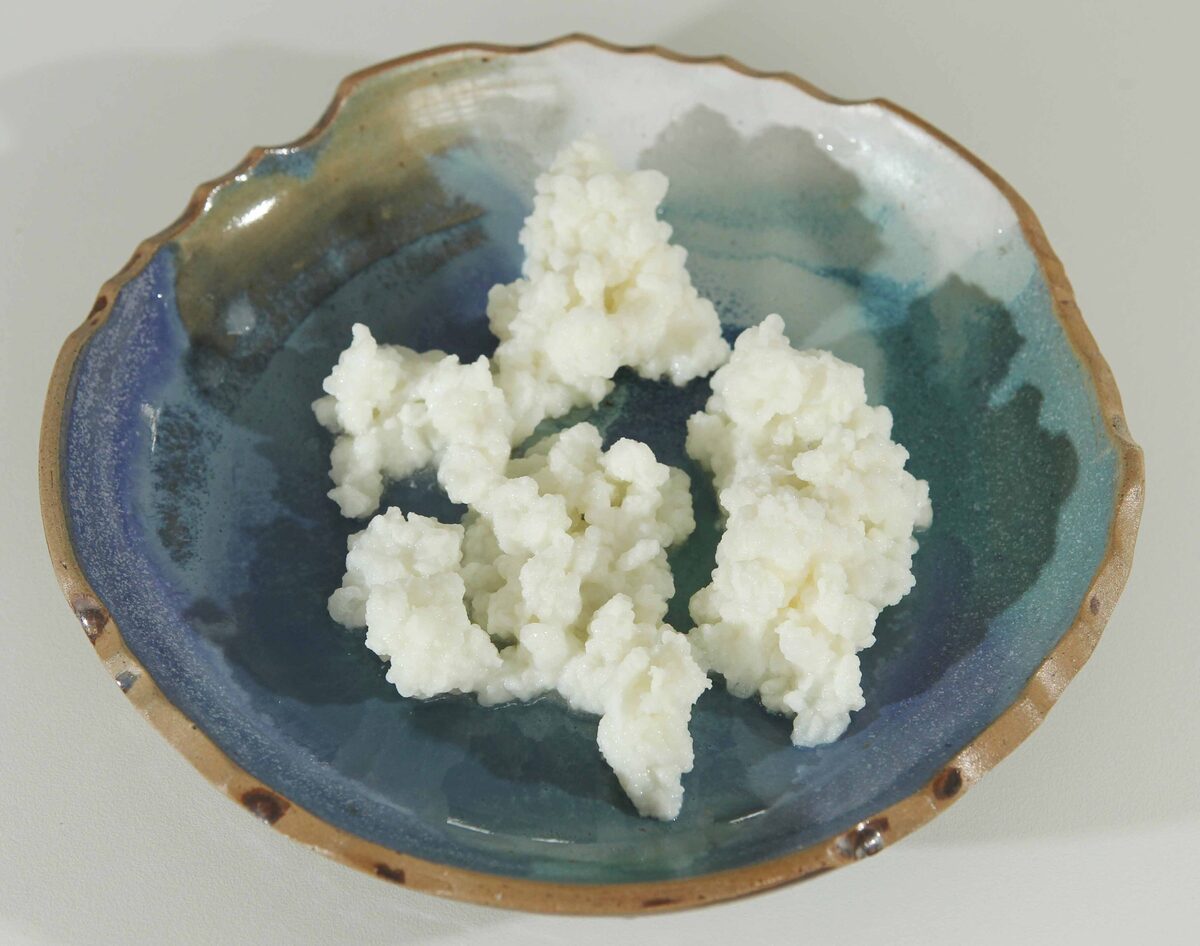 Adeus inchaço: como o kefir acalma seu abdômen - inspiração 2