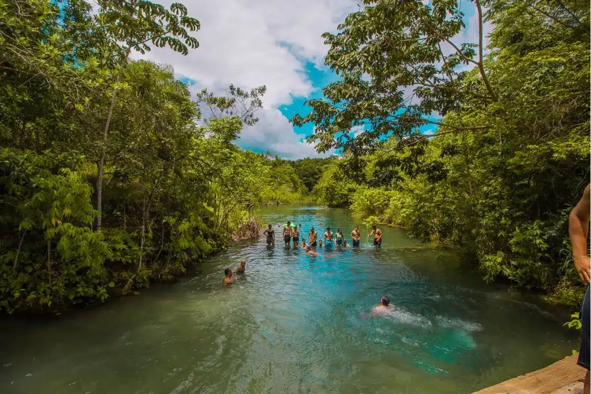 Dia 2: Tarde - Compras e Sabores Locais para Levar para Casa - inspiração 2